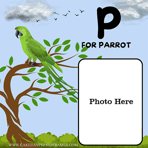 P for Parrot Word Photoframe Learn the Alphabet with a Parrot